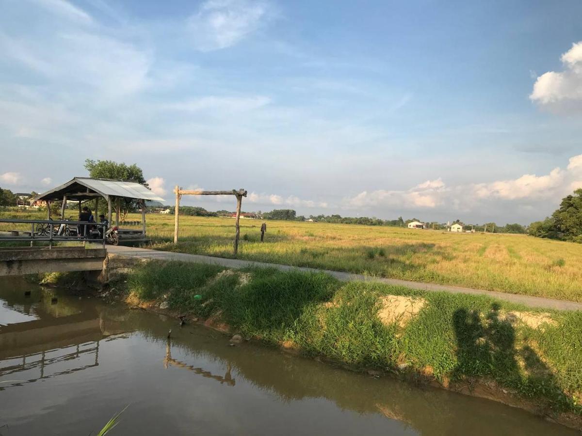 Cozy Homestay Che Yang كُوالا تيرينغانو المظهر الخارجي الصورة